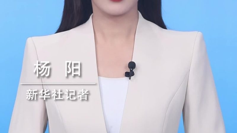 低代码平台性能，如何评估其真正实力？**