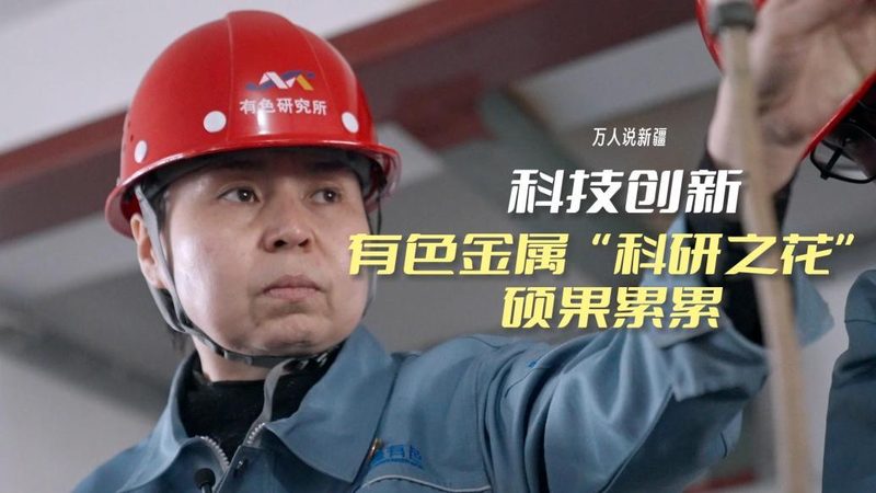 企业ERP解决方案：标准模块解析与分类
